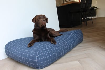 Dog's Companion Hondenkussen / Hondenbed - XS - 55 x 45 cm - Manhattan Mid Blue