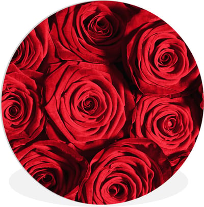WallCircle® Wandcirkel 30x30 cm - Muurcirkel Rozen - Roos - Rood - Muurdecoratie woonkamer - Wanddecoratie slaapkamer - Kamer decoratie accessoires - Ronde schilderijen