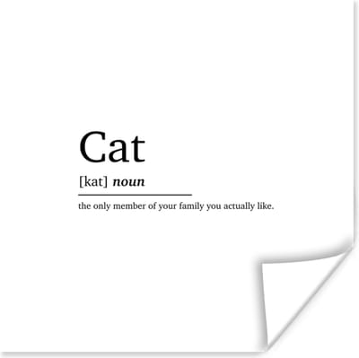 Poster Spreuken - Quotes - Woordenboek - Kat definitie - Cat - 100x100 cm XXL