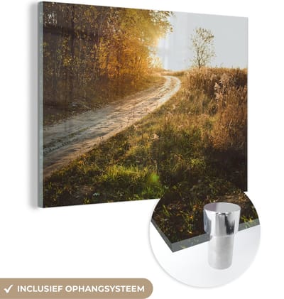 MuchoWow® Glasschilderij 120x90 cm - Schilderij acrylglas - Pad - Natuur - Boom - Foto op glas - Schilderijen