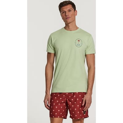 Shiwi Men Tee Tulum Palm Faded Mint Green Größe: XL | Bedruckte T-Shirts Outlet | Herren | Cyan