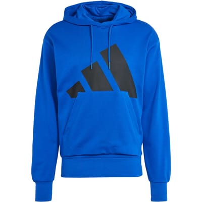 Hoodie adidas Essentials Big Logo