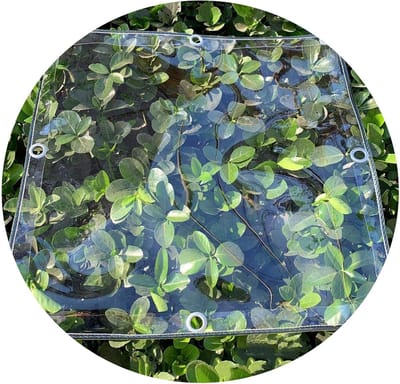 Transparant Dekzeil - Beschermend Zeil - Tuin Afdekken - Waterdicht PVC - 2.1x3m - Doorzichtig