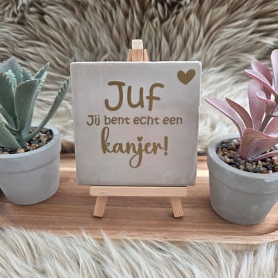 Robuust Wenstegeltje Juf jij bent echt een kanjer! – Cadeau Juffendag – Afscheid Juf – Bedankje – Trendy – Woondecoratie – Cadeautje – Decoratief Tegeltje met Standaard – Cadeau Idee