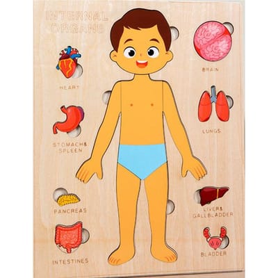 Puzzles Montessori idéaux pour les tout-petits Puzzle du corps humain Anatomie Engagez-vous avec le kit Jeu préscolaire Composants d'apprentissage Squelette Jouet