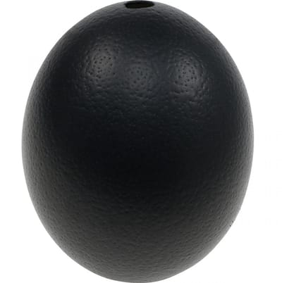 Struisvogelei decoratie uitgeblazen Paasdecoratie zwart Ø12cm H14cm