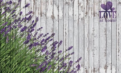 Lavendar Wood Planks Photo Wallcovering