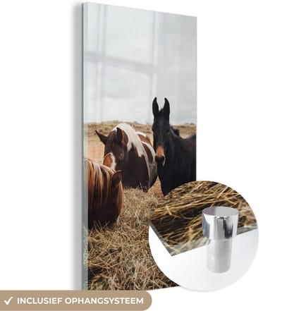 MuchoWow® Glasschilderij 20x40 cm - Schilderij acrylglas - Dieren - Paard - Paarden - Foto op glas - Schilderijen