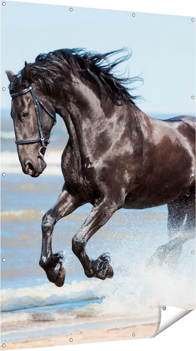 Gards Tuinposter Zwart Paard in het Water - 120x180 cm - Tuindoek - Tuindecoratie - Wanddecoratie buiten - Tuinschilderij