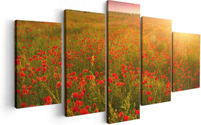 Artaza Canvas Schilderij Vijfluik Rode Klaproos Bloemenveld - Zonsondergang - 100x50 - Foto Op Canvas - Canvas Print