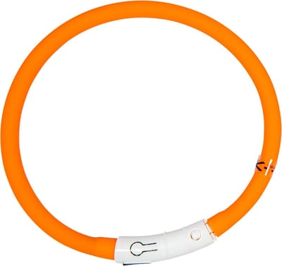 Animal Boulevard Ab45201 - Hals- En Leibanden - Hond - Ab Led Halsband Oranje-45cm