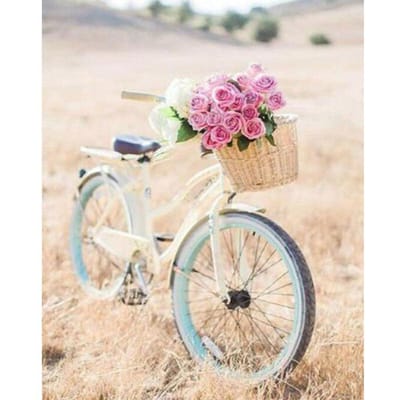 Diamantschilderij  Fiets en bloemenmand  Volledige ronde mozaïek diamantfoto 50X70CM beige