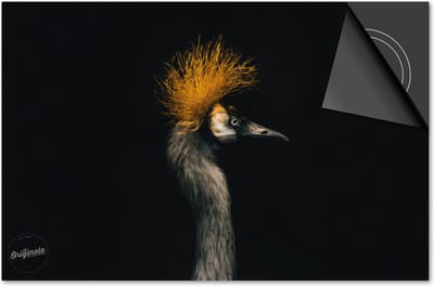 Inductie beschermer 60x60 - afdekplaat inductie mat - Dietrix Kookplaat beschermer - Exclusief - Black en Gold - Vogel Kuif