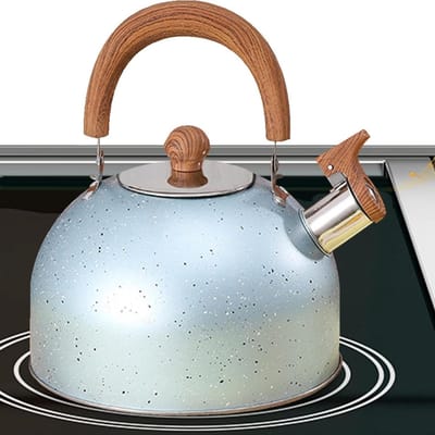 Waterkoker Theeketel - Pijpketel RVS - Water Koken - Luid Fluitje - 2 Liter Capaciteit - Blauw