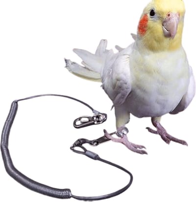 Anti-vlieg vogelkoord | 3 Meter | Diervriendelijk | Parkiet | Vogelkooi | Vogelketting