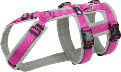 Annyx Safety FUN Hondentuig XS – Anti-Ontsnapping Veiligheidstuig – Grijs-Fuchsia rose – Voor Angstige of Herplaatste Honden