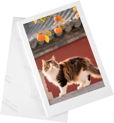 Dailygoods- Fotopapier 100 vellen - 10 x 15 cm - Glanzend - Inkjet fotopapier - Hoogglans - Sneldrogend, duurzaam oppervlak - Afdrukpapier