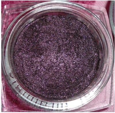 L'Oréal Paris - Color Infallible - 13 Burning Black - Oogschaduw