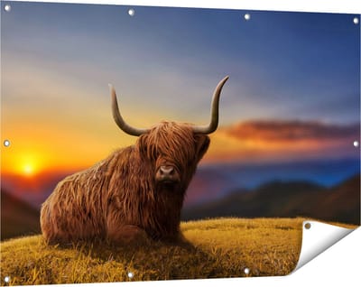 Gards Tuinposter Schotse Hooglander Koe op een Heuvel - 120x80 cm - Tuindoek - Tuindecoratie - Wanddecoratie buiten - Tuinschilderij