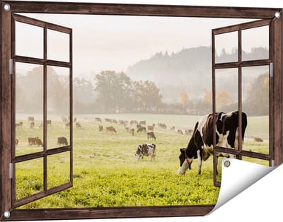 Gards Tuinposter Doorkijk Zwart Witte Koeien in de Wei - 90x60 cm - Tuindoek - Tuindecoratie - Wanddecoratie buiten - Tuinschilderij