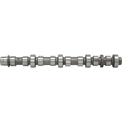 Nokkenas  AE CAM948