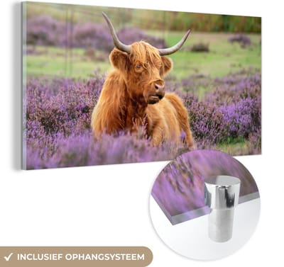 MuchoWow® Glasschilderij 40x20 cm - Schilderij acrylglas - Schotse Hooglander - Bruin - Struiken - Foto op glas - Schilderijen