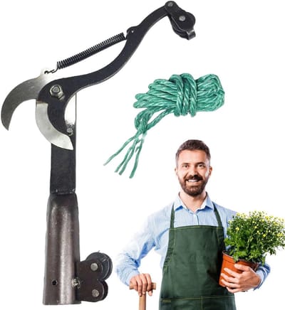 Takkenschaar - Snoeischaar trimmer - Tuinonderhoud - Dubbel katrolmechanisme - 30x23cm - Zwart