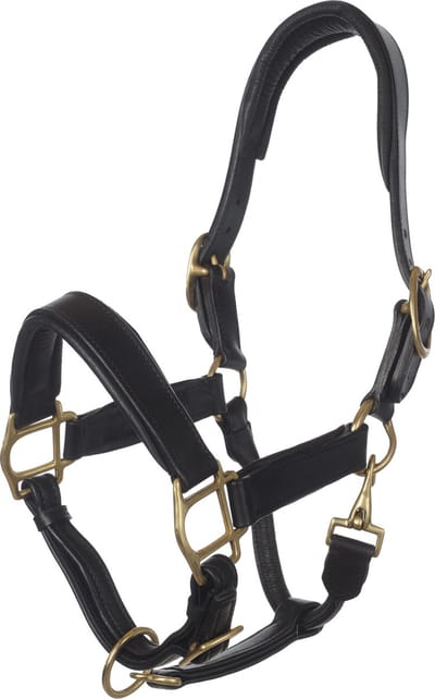MHS Leren Halster Exclusive Mini Jaarling Zwart / Goud