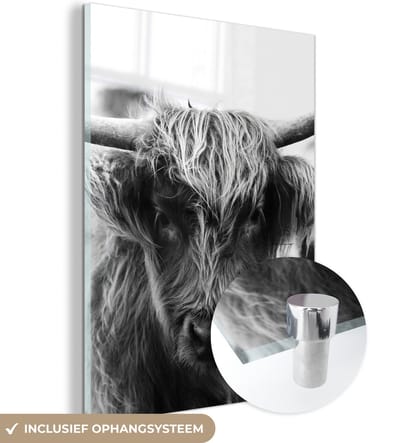 MuchoWow® Glasschilderij 120x160 cm - Schilderij acrylglas - Schotse Hooglander - Koe - Gras - Dieren - Natuur - Foto op glas - Schilderijen