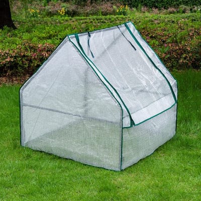 Mini Kas - Kweekkas Tuin - Planten Beschermen - Draagbaar Groen Huis - Verschillende Maten - Groen