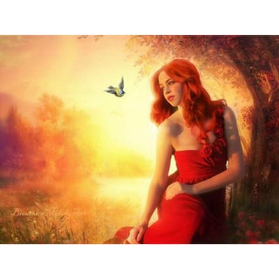 Borduren 5d Diy Diamond Painting Boor Strass vogel en rode doek vrouw Decor Schilderen 20X30CM multi