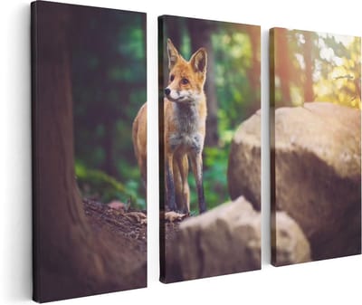 Artaza Canvas Schilderij Drieluik Vos in het Bos bij Stenen - 120x80 - Foto Op Canvas - Canvas Print