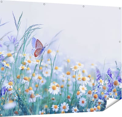 Gards Tuinposter Witte Kamille Bloemen met een Vlinder - 150x120 cm - Tuindoek - Tuindecoratie - Wanddecoratie buiten - Tuinschilderij