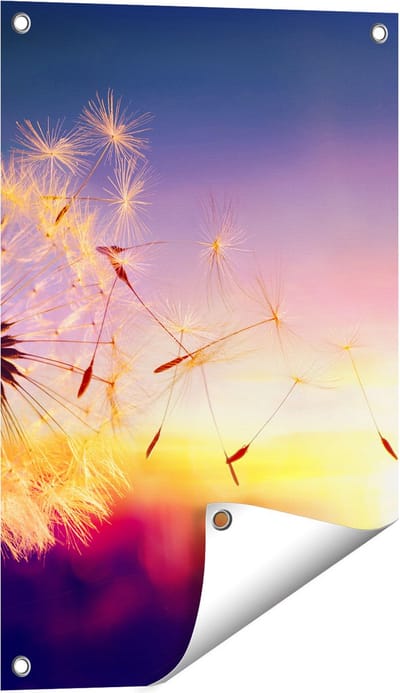 Gards Tuinposter Paardenbloem tijdens Zonsondergang - 40x60 cm - Tuindoek - Tuindecoratie - Wanddecoratie buiten - Tuinschilderij