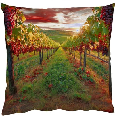 Sierkussens - Kussentjes Woonkamer - 50x50 cm - Wijngaard - Druiven - Zonsondergang