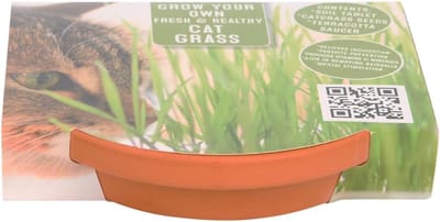 Kweekset Kattengras - Terracotta Pot - Ondersteunt Spijsvertering - Simpel te Kweken - Voor Katten