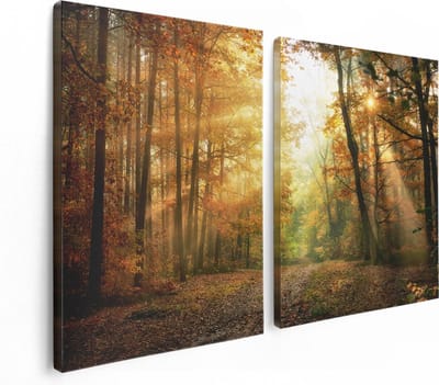 Artaza Canvas Schilderij Tweeluik Herfstbos Met Zonneschijn - 120x80 - Foto Op Canvas - Canvas Print