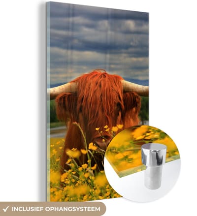 MuchoWow® Glasschilderij 120x180 cm - Schilderij acrylglas - Schotse Hooglander - Dieren - Bloemen - Foto op glas - Schilderijen
