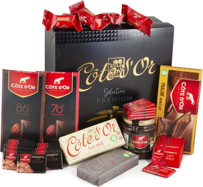 Côte d'Or Chocolade Cadeau - Grote Luxe Geschenkverpakking 41 Producten
