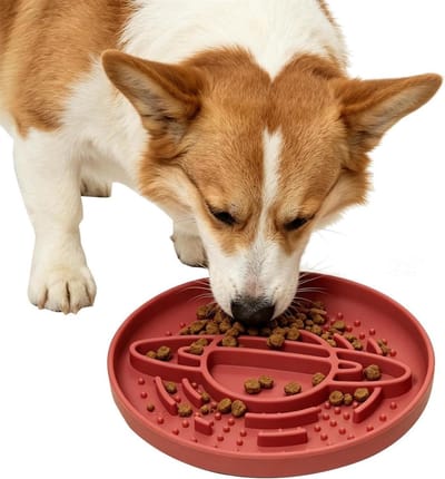 Hond Slow Feeder - Honden Voerbak - Langzaam Eten - Anti-Verstikkings Ontwerp - 22 x 22 x 5 cm