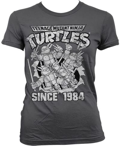 Teenage Mutant Ninja Turtles Dames Tshirt -S- Distressed Since 1984 Grijs