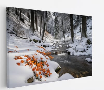 Saammp Canvas Schilderij - Beekje in de winter - Bloemen - Landschap - Natuur - 45x30 - Foto op canvas - Wanddecoratie - Muurdecoratie Woonkamer - Slaapkamer decoratie - Canvas Print