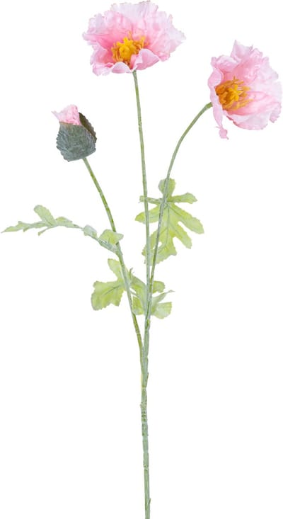 Easyplants | Kunstbloem Poppy 73 cm licht roze | Zijde | Nepbloemen | roze | Onderhoudsvrij | Kant-en-klaar