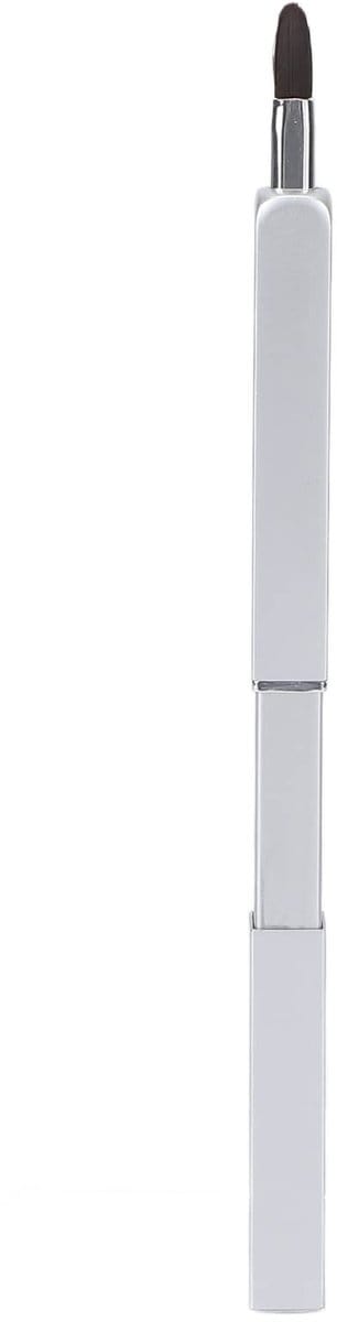 Dailygoods- Lippenborstel Lichtgewicht - Taps Toelopende Punt - Zacht Borstelhaar - Aluminium Buis - Praktische Make-up Tool - Voor Lipstick Aanbrengen - Make-upkwast
