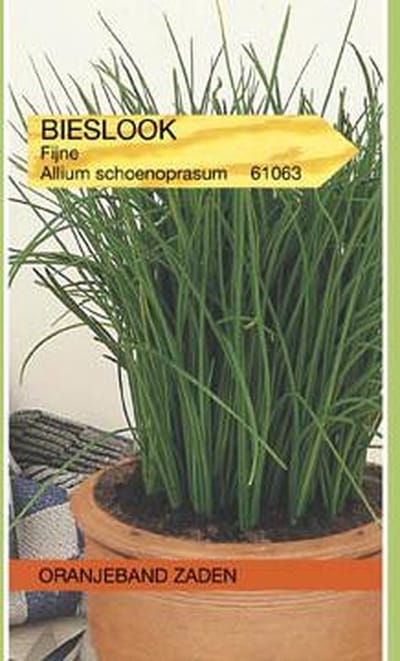 Bieslook Prager (fijne)