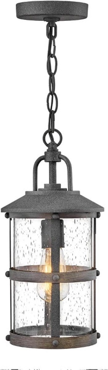 Hinkley LED Buiten Hanglamp Lakehouse | 1X E27 Max 60W | IP44 | Dimbaar | Aged Zinc with Driftwood Grey