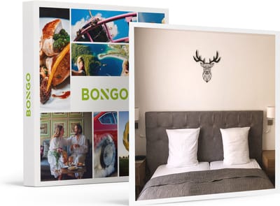 Bongo Bon -2 Dagen Brussel Bij Hôtel De Fierlant In Sint-gillis- Cadeaukaart