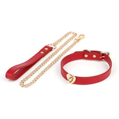 Verstelbare Zwarte Hondenhalsband & Gouden Lijn Set, PU Leer Met Hartvormige Bedel, Voor Puppy's & Katten bordeaux