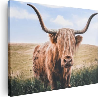 Artaza Canvas Schilderij Hooglander - 40x30 cm - Klein - Muurdecoratie Gewei - Wanddecoratie Dierenkop - Schilderijen Op Canvas