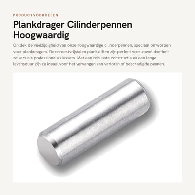 Dailygoods- Plankdrager Hoogwaardig Roestvrij Staal - Cilinderpennen - Planksteunpennen - Meubelplanken - Reservepennen - Duurzaam en Robuust - Planksteun